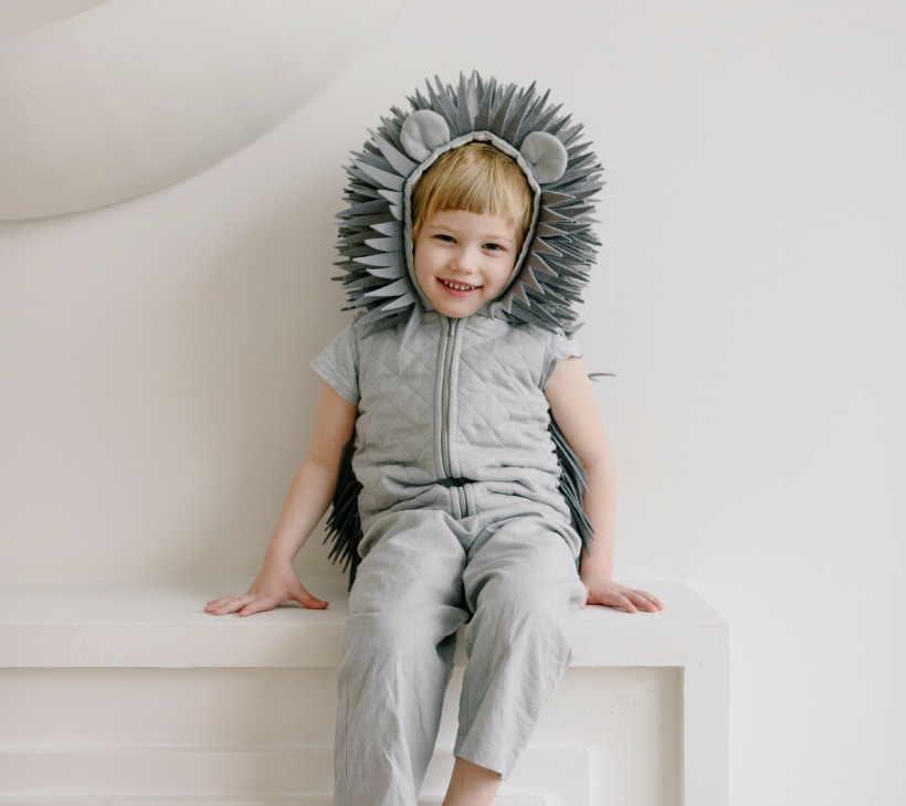 hedgehog costume
